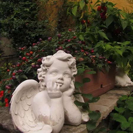 Giuliana Maison d'hôtes Menaggio